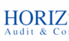 Horizon audit consulting