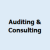 AUDITING & CONSULTING