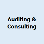 AUDITING & CONSULTING